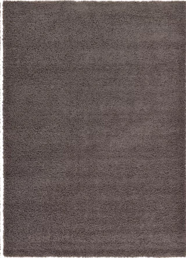 Rental store for lilah charcoal area rug in Portland Oregon