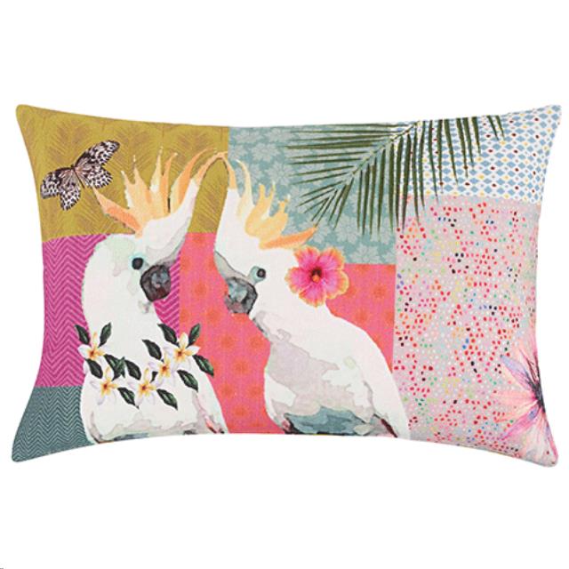 Rental store for tropical bird pillow in Portland Oregon
