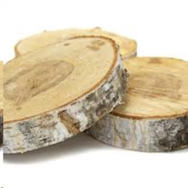 Rental store for wood slice 13 inch 18 inch round in Portland Oregon