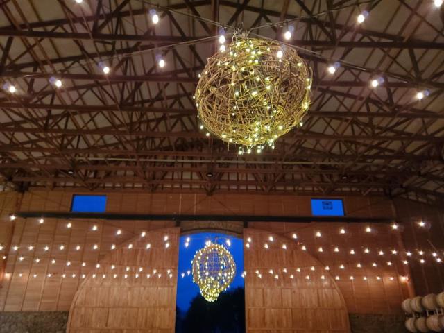 Rental store for grapevine ball w lights 24 inch in Portland Oregon