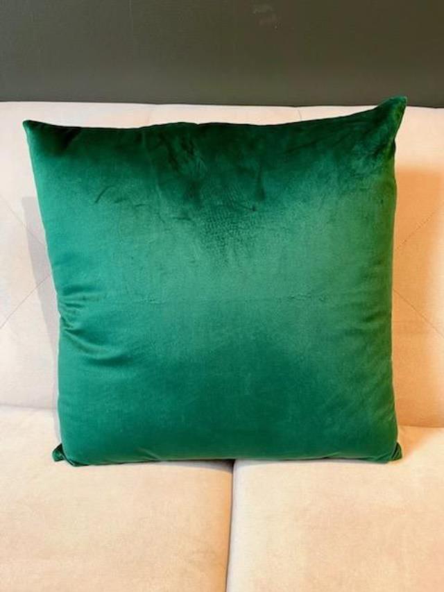 Rental store for emerald velvet pillow in Portland Oregon