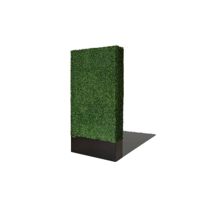 Rental store for boxwood 4 foot x96 inch in Portland Oregon