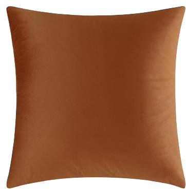 Rental store for cinnamon velvet pillow in Portland Oregon