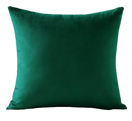 Rental store for evergreen velvet pillow in Portland Oregon