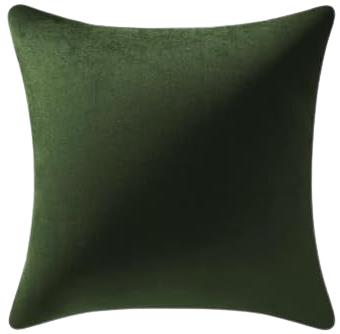 Rental store for moss velvet pillow in Portland Oregon