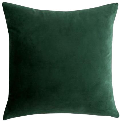 Rental store for hunter velvet pillow in Portland Oregon