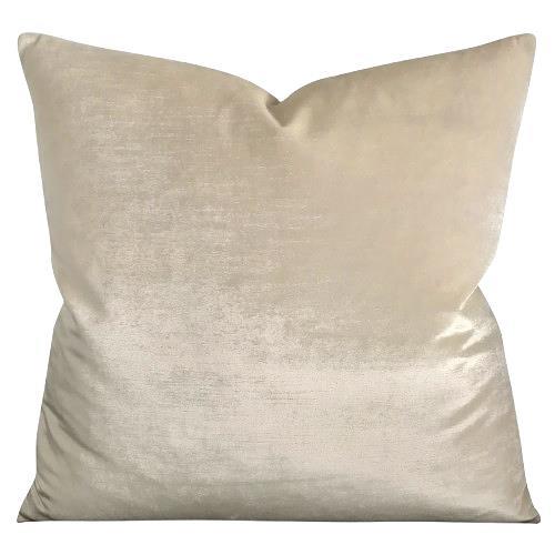 Rental store for champagne nova pillow in Portland Oregon