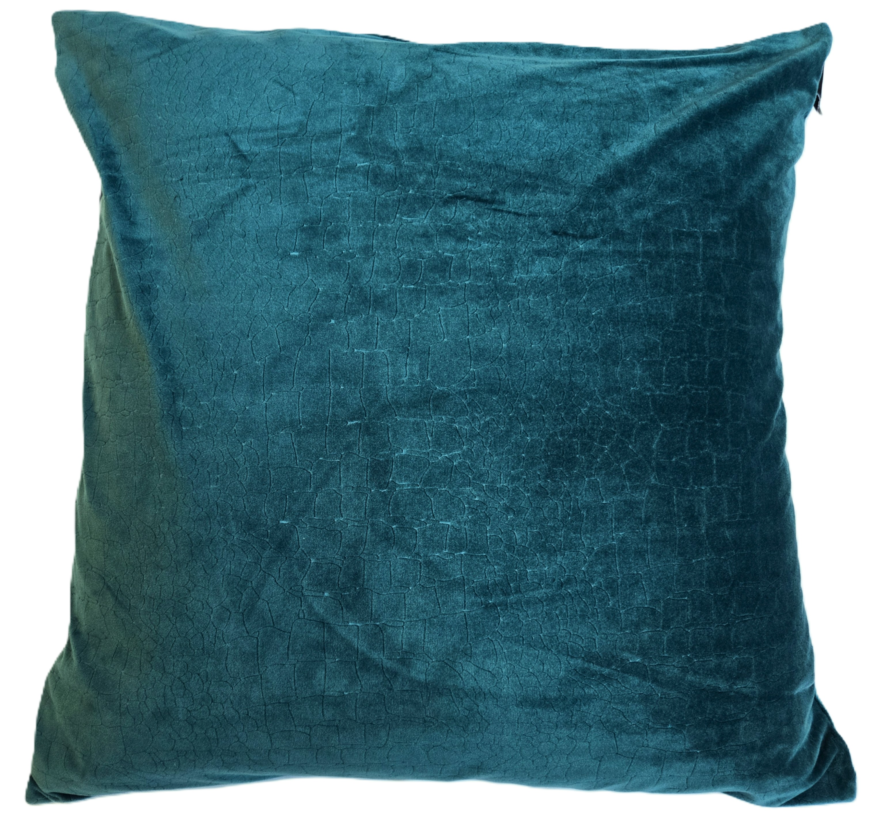 Rental store for peacock crocodile velvet pillow in Portland Oregon