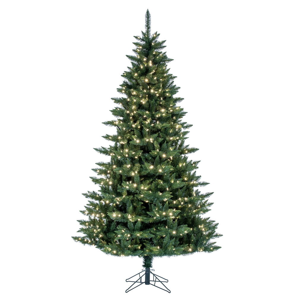 Rental store for 6.5  CAMDON FIR HOLIDAY TREE in Portland OR
